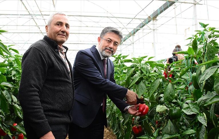 Tarım ve Orman Bakanı Yumaklı: Ülkemizin tohum açısından tek derdi yok