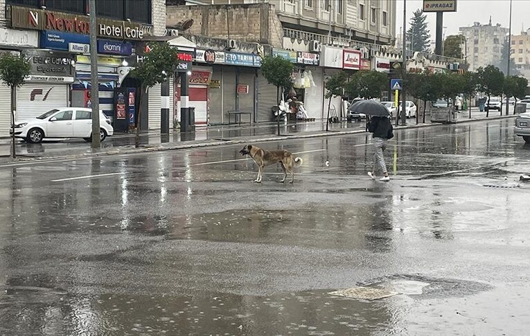 Şanlıurfa’da boğanak dolayısıyla tahsile ara verildi