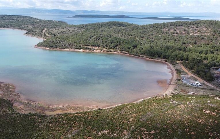 Ayvalık’ta 11 yıl arayla iki kez yanan ormanlık alan ağaçlandırıldı