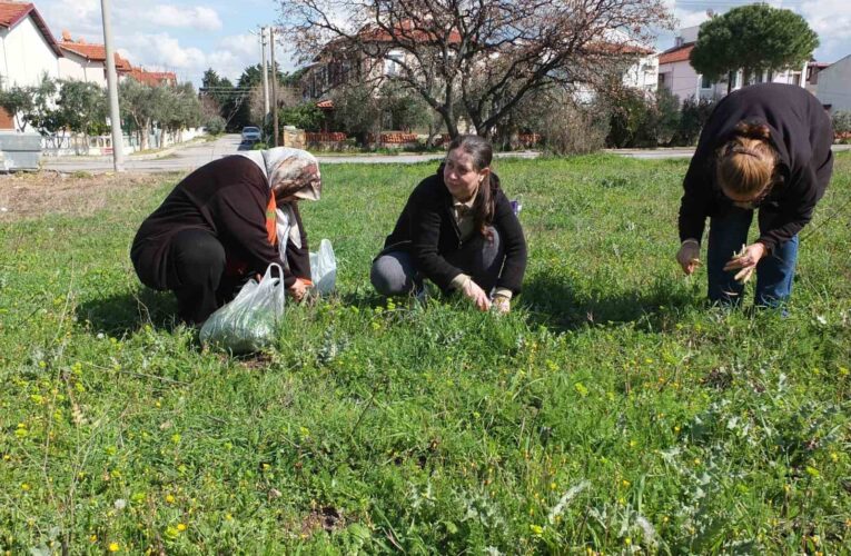 Balıkesir’de ot festivali düzenlenmesi istediler