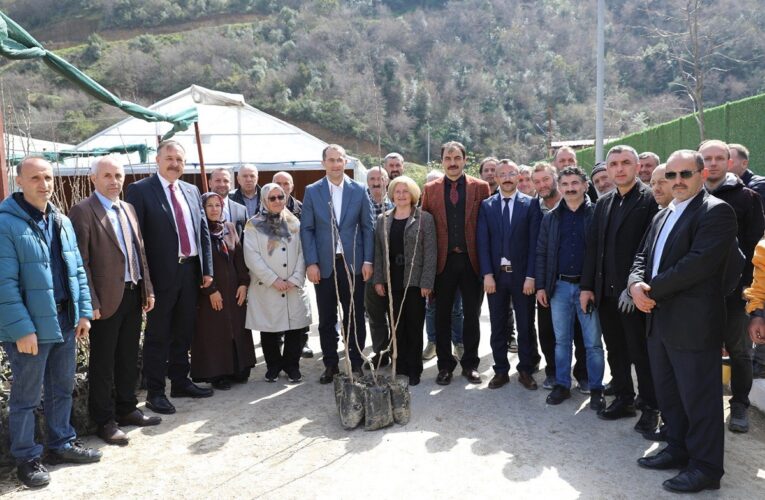 Başkan Ekim meyve fidesi dağıttı