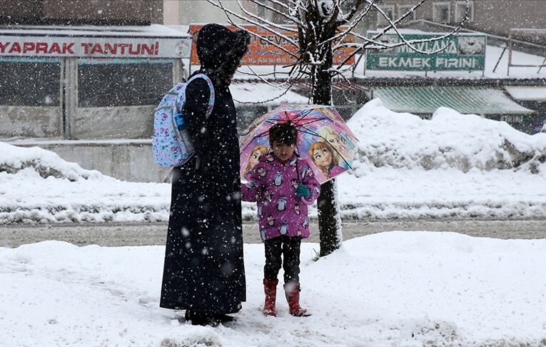 Bitlis ve Bingöl’de olumsuz hava koşulları nedeniyle eğitime ara verildi