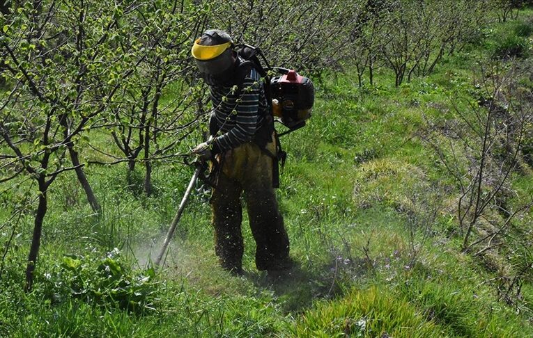 Fındıkta modern bahçeler ürün kalitesini ve üreticinin kazancını artıracak