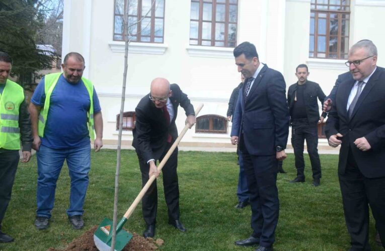 Hazine ve Maliye Bakanı Mehmet Şimşek Bilecik’te çınar fidesi dikti