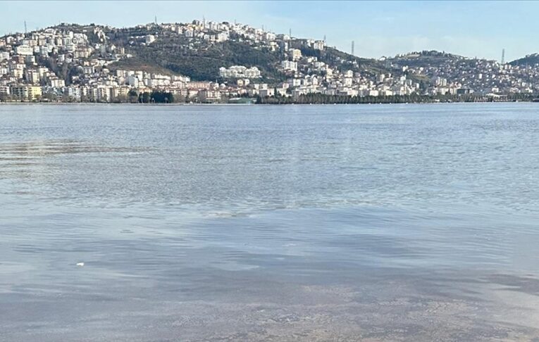 İzmit Körfezi’ndeki renk değişiminin alg çoğalmasından kaynaklandığı belirlendi