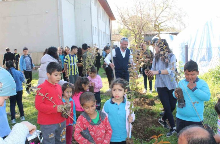 Köyceğiz’de okul bahçesi keçiboynuzu fidanları ile donatıldı