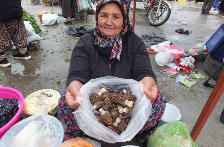 Kuzu göbeği mantarı altın ile yarışıyor