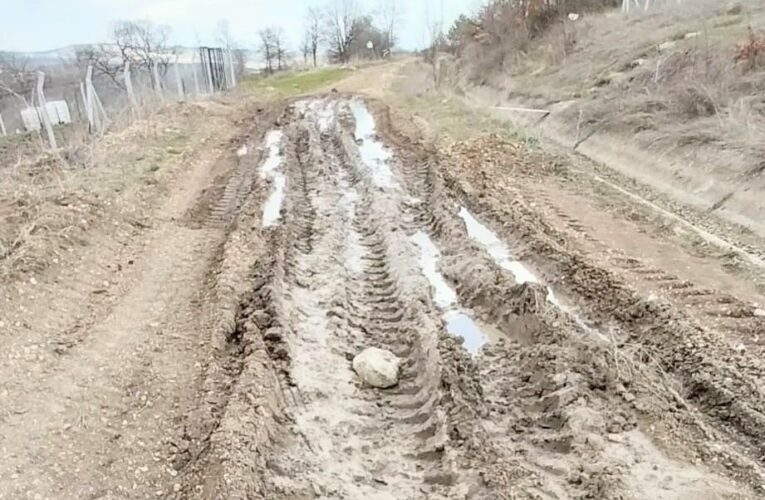 Lavanta üreticisi bozuk olan yolun yapılmasını istiyor