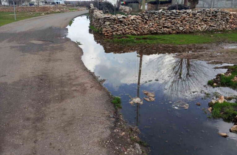 Mahalle sakinleri eksikliklerinin giderilmesini bekliyor