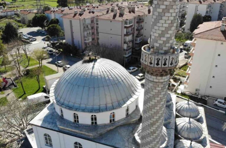 Mahallenin maskotları leylekler bu yıl da yerini aldı