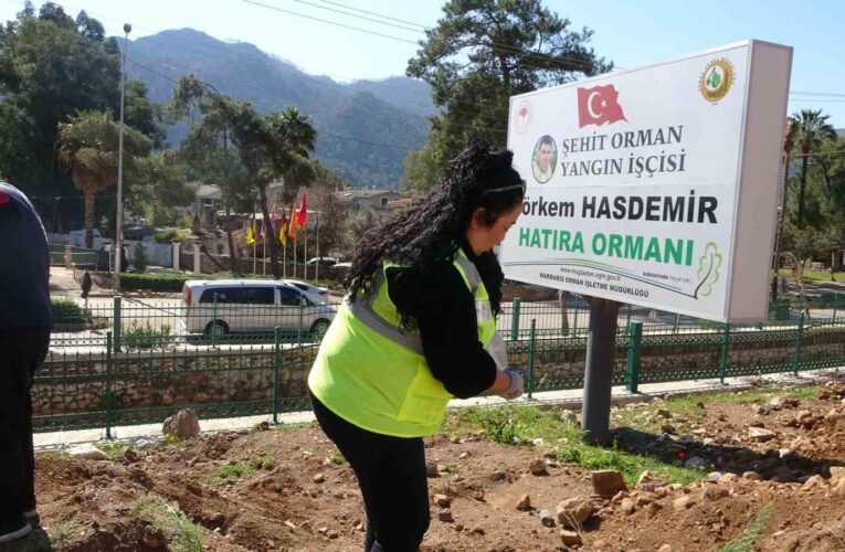 Marmaris’te binlerce fidan toprakla buluştu