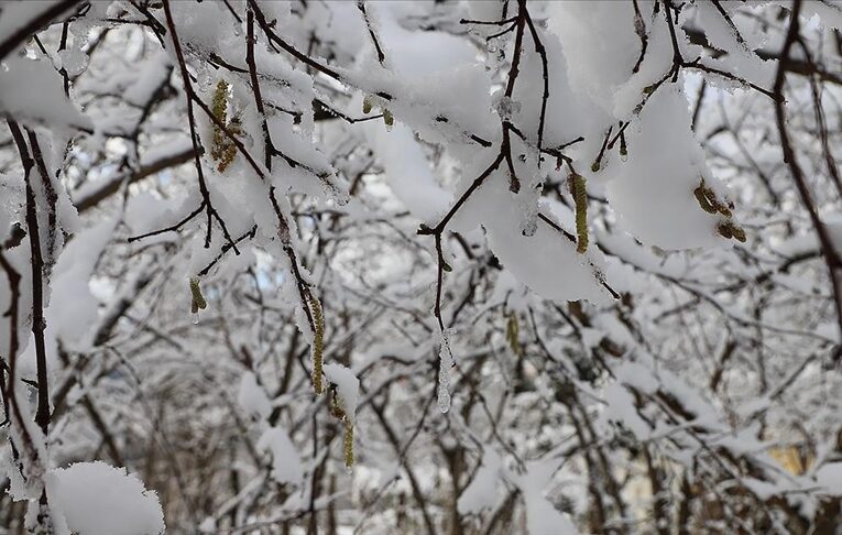 Meteorolojiden zirai don uyarısı