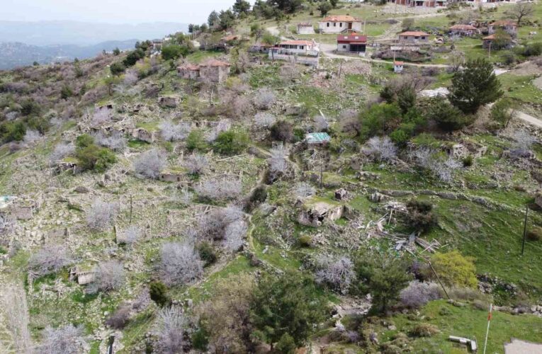 (Özel) Bu mahallede sadece 17 seçmen sandık başına gidecek