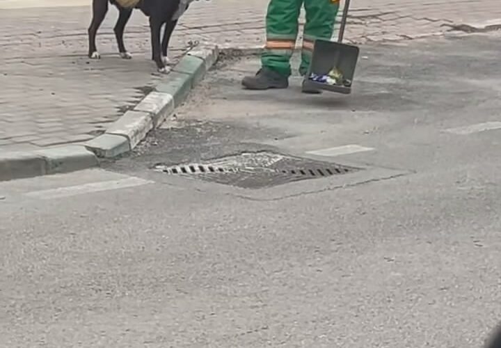 Sokak köpeğinin sırtını süpürge ile temizleyen görevli yüzleri gülümsetti