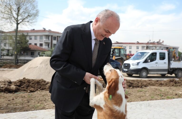 Sokaklarda saldırgan köpek kalmayacak