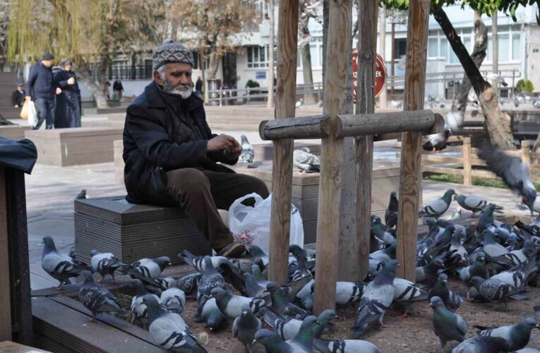 Sokaktaki kuşları yıllardır büyük bir özenle besliyor