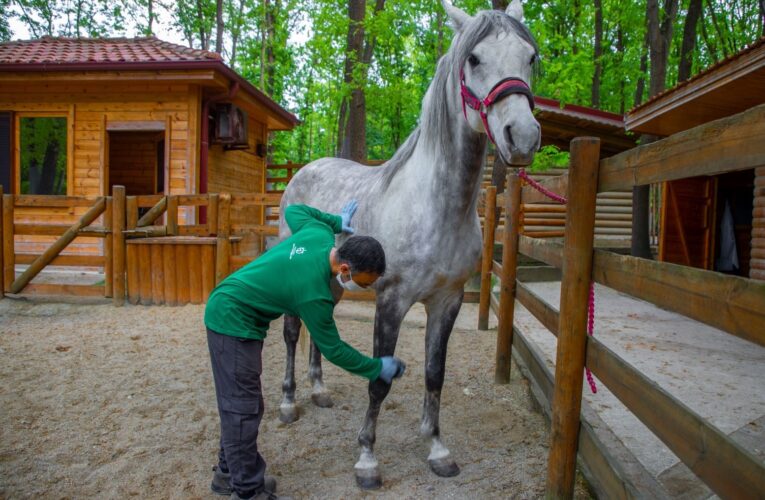 Avrupa’nın en büyük doğal yaşam parkı bayramda doğaseverler için hazırlandı