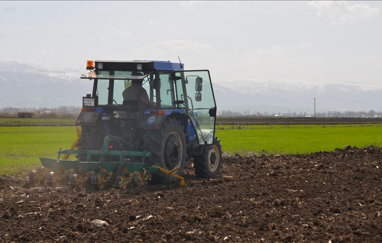 Çiftçilere 2,5 milyar lira tarımsal destekleme ödemesi bugün yapılacak