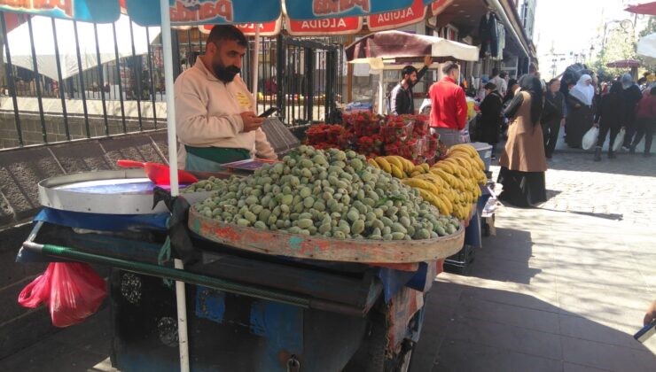 Diyarbakır’da tezgaha çıkartılan çağla 100 liradan satılıyor