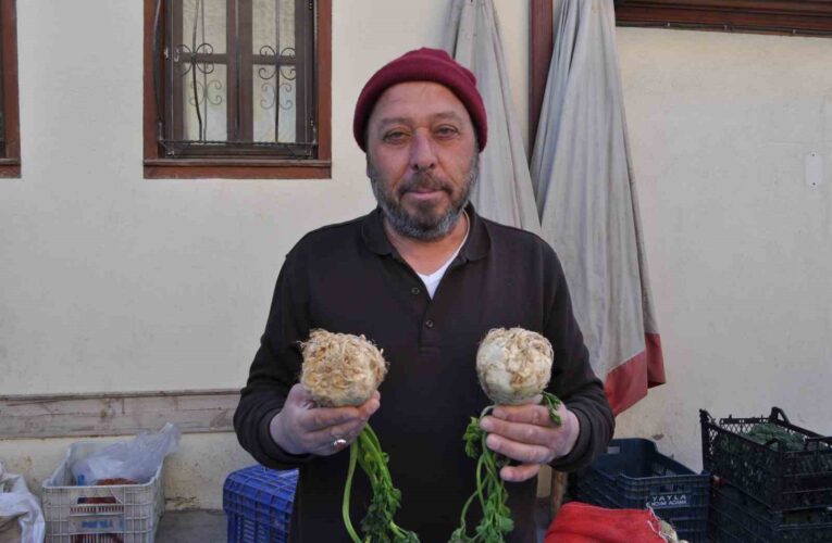 Faydaları saymakla bitmeyen kerevize pazarda ilgi yoğun