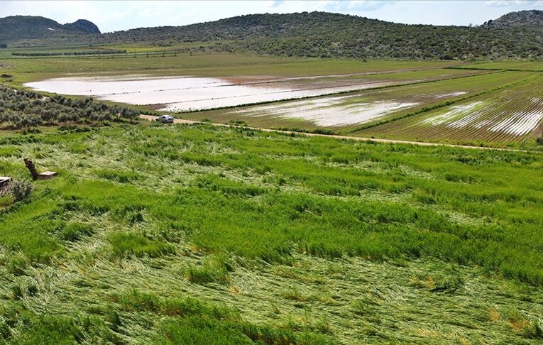 Osmaniye’de sağanak ve dolu, tarım arazilerine zarar verdi