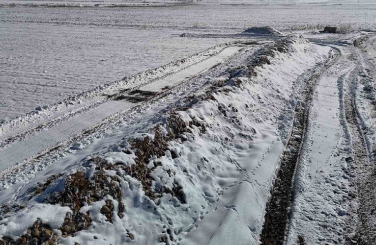 Sivas’ta 60 bin ton şeker pancarı kar altında kaldı